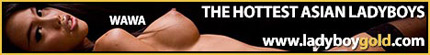 Wawa Wants Cock